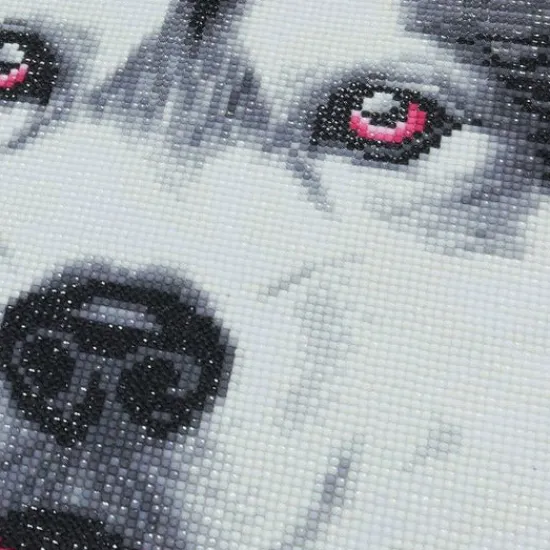 Craft Buddy Alaskan Malamute Face Crystal Art Cushion Kit 30 x 30 cm Outlet