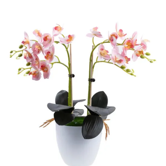 Craft Buddy "Blossom" Forever Flowerz Orchid Collection x2 Fashion