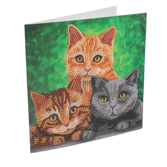 Craft Buddy "Cat Portrait" by Rachel Froud Crystal Art Card Discount