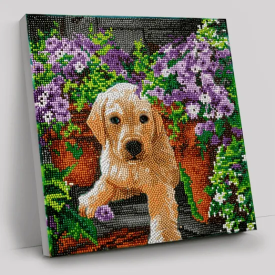 Craft Buddy "Floral Pup" Crystal Art Canvas Kit 30x30cm Online