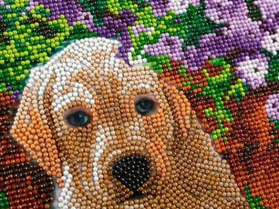 Craft Buddy