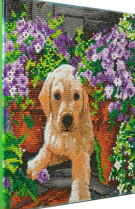 Craft Buddy