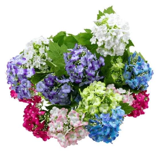 Craft Buddy Forever Flowerz Sweet Viburnum Kit (makes 12) Clearance