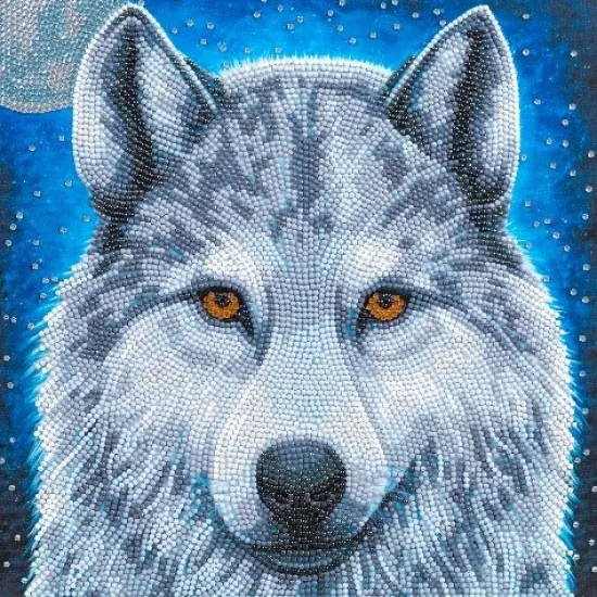 Craft Buddy "Moonlight Wolf" Crystal Art Canvas by Rachel Froud 30x30cm Sale