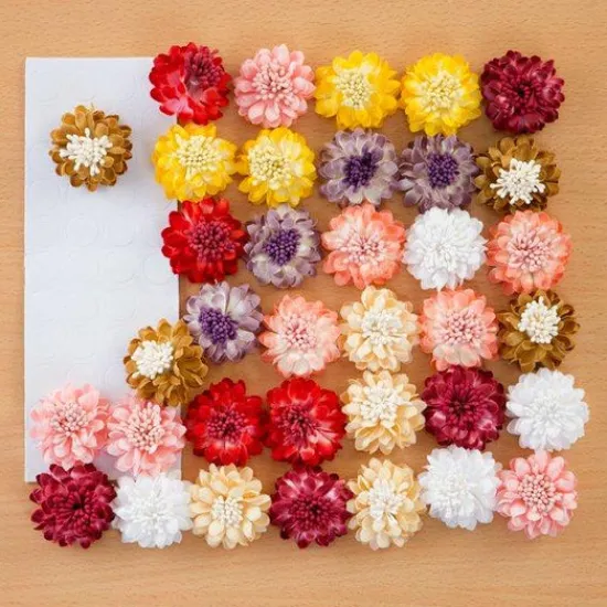 Craft Buddy Set of 36 Premium Organic Flowers Best